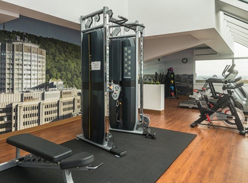 Salle d'exercice - M2+M3-3470 Rue Stanley, Montréal (Ville-Marie), QC 