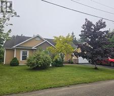 2 Crimson Avenue  Kippens, NL A2N 0X7