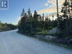 69 Whalens Pond Road  Brigus Junction, NL A0B 1G0