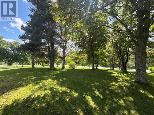 6 Sunset Drive, Grand Falls-Windsor, NL 
