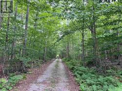 Lot 15 Gordan RD  St. Joseph Island, ON P0R 1G0