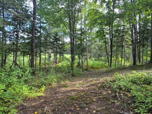 Lot - 50 8E Rang N., Courcelles/Saint-Évariste, QC 