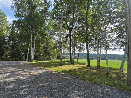 Lot - 50 8E Rang N., Courcelles/Saint-Évariste, QC 