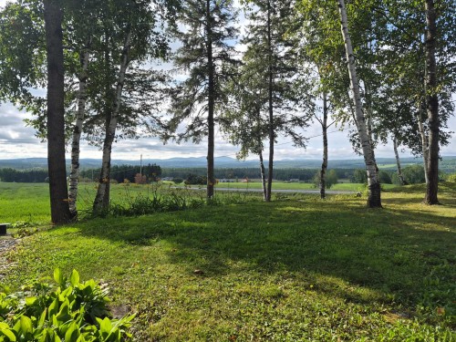 Lot - 50 8E Rang N., Courcelles/Saint-Évariste, QC 
