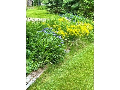 310 Mountain View Road, Mcbride, BC 