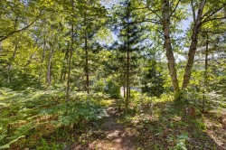 Lot - 