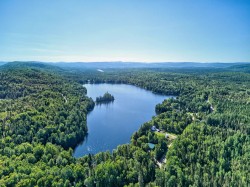 Aerial View - 
