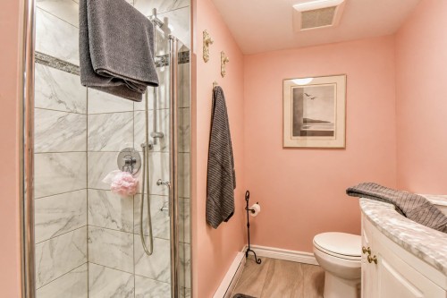 Bathroom - 999 22E Avenue, Laval (Fabreville), QC 
