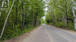 LOT 1 TALLY-HO WINTER PARK ROAD  Lake Of Bays (Sinclair), ON P1H 2E8
