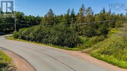 Lot 08S-5A OLD COURT HOUSE BRANCH Road  Valley, NS B6L 2P9