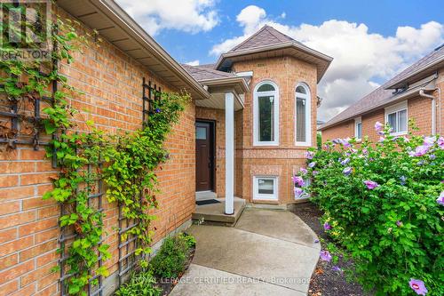 45 Springview Drive, Brampton, ON 