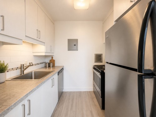 Kitchen - 308-201 Rue Corot, Montréal (Verdun/Île-Des-Soeurs), QC 