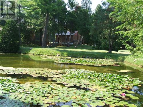 506 11Th Concession Road E, Hamilton, ON 