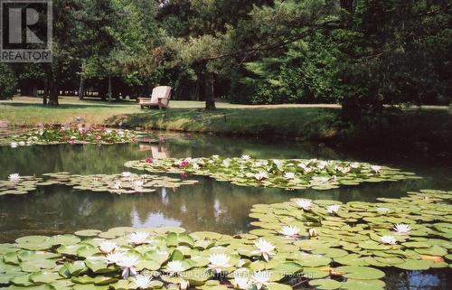 506 11Th Concession Road E, Hamilton, ON 