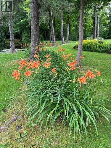 506 11Th Concession Road E, Hamilton, ON 