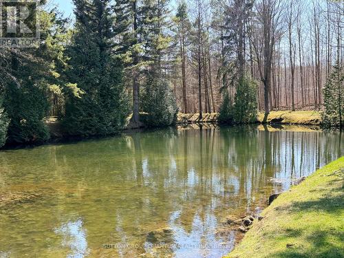 506 11Th Concession Road E, Hamilton, ON 