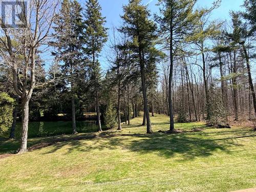 506 11Th Concession Road E, Hamilton, ON 