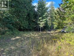 Arthur Street Lot# Lot C Slocan, BC V0G 2C0
