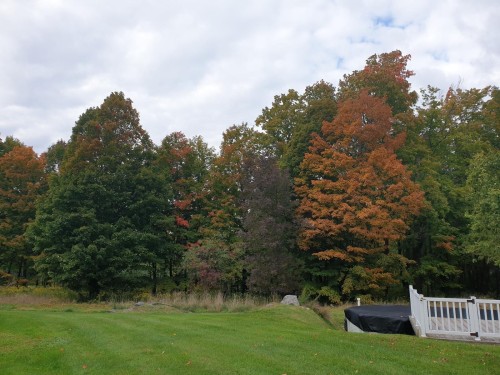 Extérieur - 65 Ch. Papineau, Lac-Brome, QC 