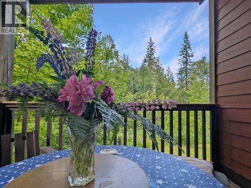8802 Martens Road, Slocan, BC 