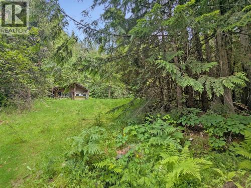 Second serviced site - 8802 Martens Road, Slocan, BC 