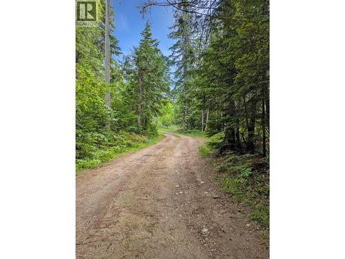 8802 Martens Road, Slocan, BC 