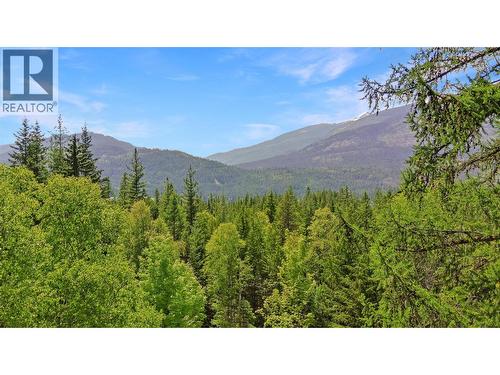 8802 Martens Road, Slocan, BC 