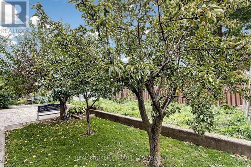 2 Dorking Crescent, Toronto, ON 