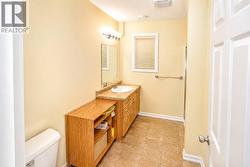 Lower level bathroom - 