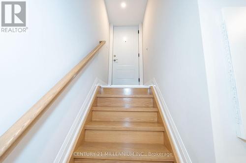 C - 31 MARIPOSA AVENUE , Toronto, Ontario M6N 4A1 4