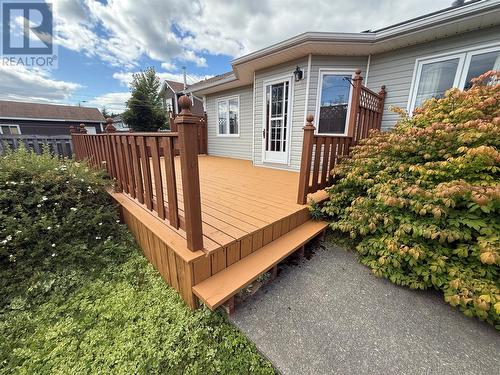8 Harmsworth Drive, Grand Falls-Windsor, NL 