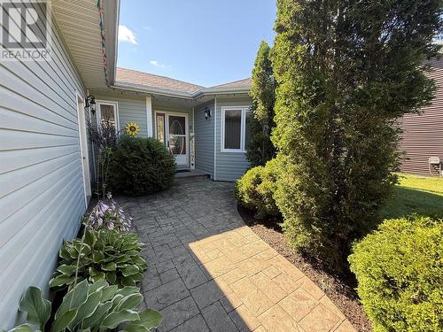 8 Harmsworth Drive, Grand Falls-Windsor, NL 