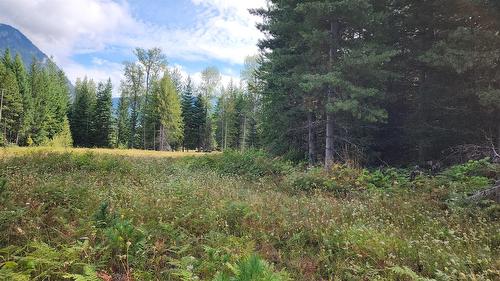 Lot 6 Mccormack Road, Burton, BC 