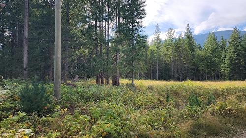 Lot 6 Mccormack Road, Burton, BC 