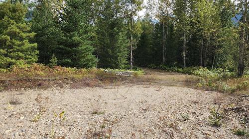 Lot 6 Mccormack Road, Burton, BC 