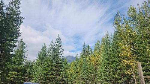 Lot 6 Mccormack Road, Burton, BC 