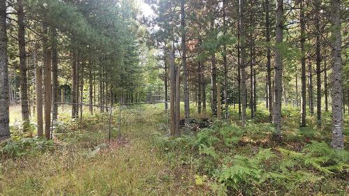 Lot 6 Mccormack Road, Burton, BC 