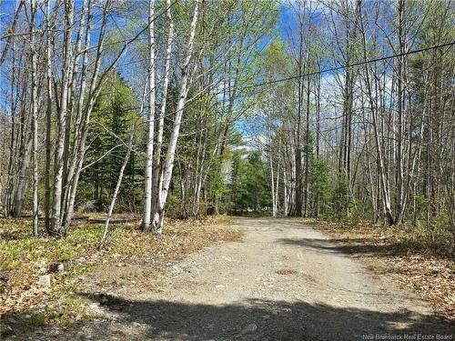 52 Shamrock Valley, Big River, NB 