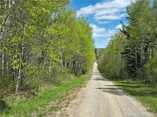 52 Shamrock Valley, Big River, NB 