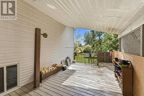 71 Edward Street, Mapleton, ON 