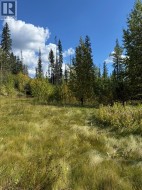 111 Kinuseo Avenue Tumbler Ridge, BC V0C 2W0