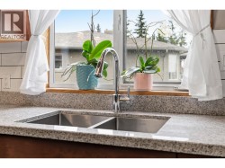 Upgraded kitchen - main suite - 