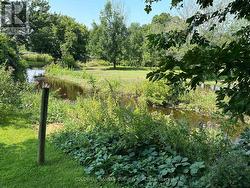 Peaceful spaces with perennial gardens and a creek - 