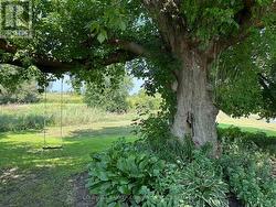 Peaceful spaces with perennial gardens. - 