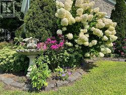 Perennial gardens. - 