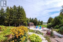 Butterflies, hummingbirds, and room to play! - 