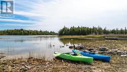 Paddle in Purgatory Cove or out to Lake Huron. - 