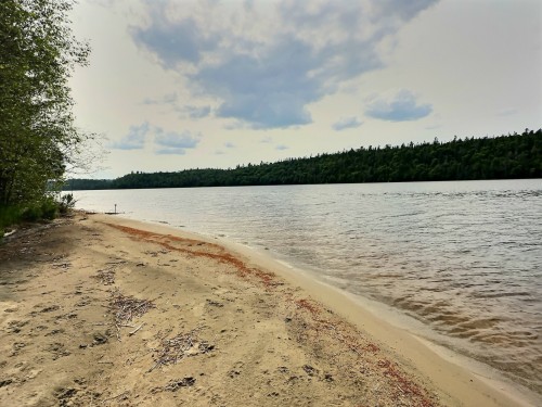 Waterfront - 2225 Ch. De Grassy Narrow, Moffet, QC 