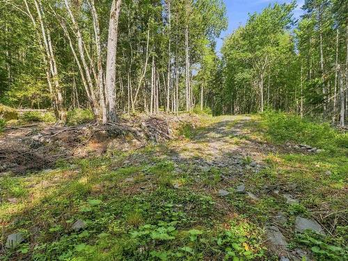 58 Pioneer Drive, Vaughan, NS 