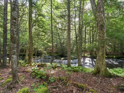 58 Pioneer Drive, Vaughan, NS 